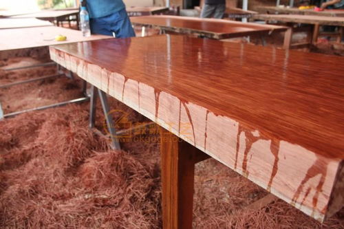 使用品牌二手辦公家具，未來的地球之肺就在東方設計