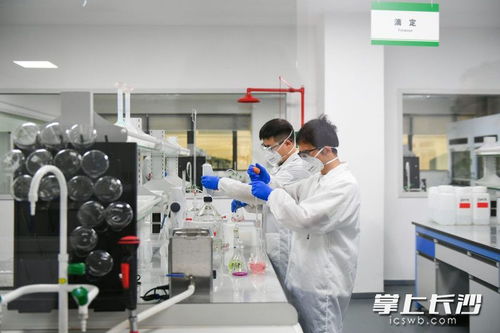 長沙向新而行，為質而奔 環保材料研發引領綠色未來